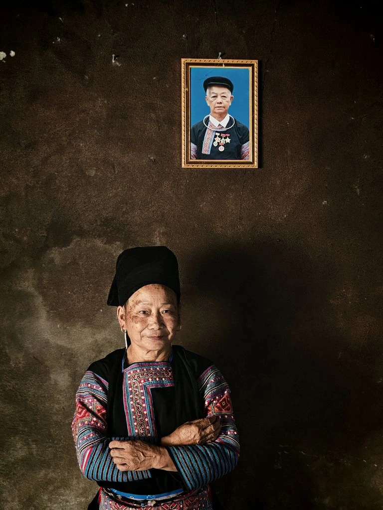 Recolectora blang cosechando té ancestral en Jingmai, Yunnan